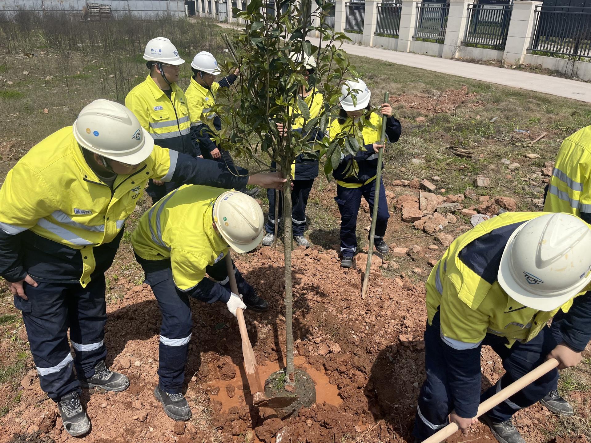 6731������Ϸ��(�й���)�ٷ���վ